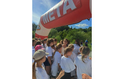 XV FESTIWAL BIEGOWY w Piwnicznej - Zdr&oacute;j